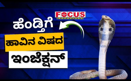 ಹೆಂಡ್ತಿಗೆ ಹಾವಿನ ವಿಷದ ಇಂಜೆಕ್ಷನ್ ಕೊಟ್ಟು ಸಾಯಿಸಿದ ಗಂಡ; ಕಾರಣವೇನು? ಸಿಕ್ಕಿಬಿದ್ದಿದ್ದೇ ರೋಚಕ!