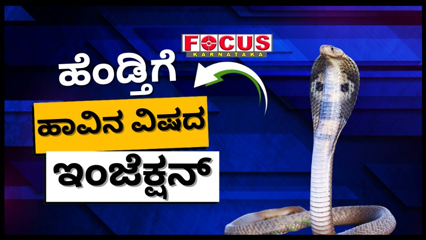ಹೆಂಡ್ತಿಗೆ ಹಾವಿನ ವಿಷದ ಇಂಜೆಕ್ಷನ್ ಕೊಟ್ಟು ಸಾಯಿಸಿದ ಗಂಡ; ಕಾರಣವೇನು? ಸಿಕ್ಕಿಬಿದ್ದಿದ್ದೇ ರೋಚಕ!