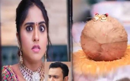 ಕುಸುಮಾ ಮಾತಿಗೆ ಡೋಂಟ್ ಕೇರ್: ತಾಳಿ ಕಟ್ಟು ಎಂದು ತಾಂಡವ್ ಗೆ ಗದರಿದ ಶ್ರೇಷ್ಠಾ!