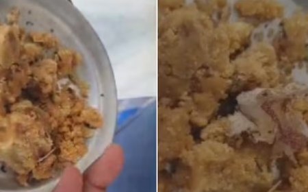 Tirumala: ದನದ ಕೊಬ್ಬು ನಂತರ ಇದೀಗ ತಿರುಪತಿ ಲಡ್ಡುನಲ್ಲಿ ಗುಟ್ಕಾ ಪ್ಯಾಕೇಟ್ ಪತ್ತೆ!