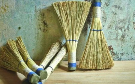 ಪೊರಕೆಯನ್ನು ಮನೆಯ ಈ ದಿಕ್ಕಿನಲ್ಲೇ ಇಡಬೇಡಿ: ಸಂಪತ್ತು ವೃದ್ಧಿಯಾಗದೆ ಬಡತನ ಕಾಡುತ್ತೆ!