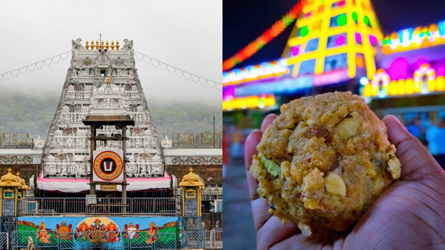 Tirupati Laddoo: ತಿರುಪತಿ ಲಡ್ಡು ಪ್ರಸಾದ ವಿವಾದ; ವರದಿ ಕೇಳಿದ ಕೇಂದ್ರ ಸರ್ಕಾರ