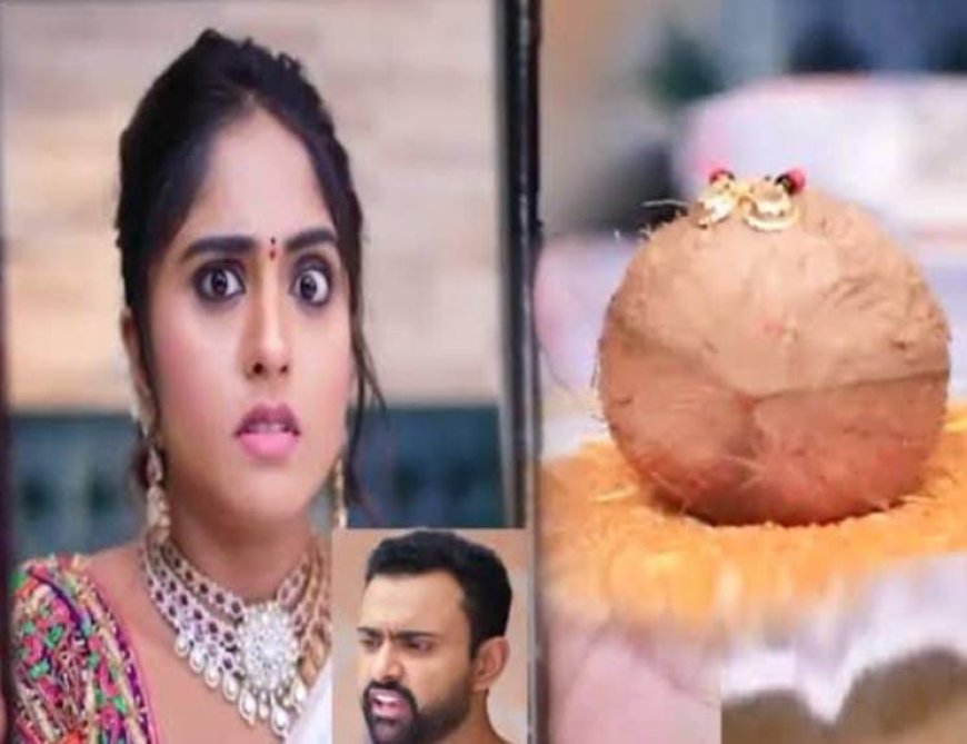 ಕುಸುಮಾ ಮಾತಿಗೆ ಡೋಂಟ್ ಕೇರ್: ತಾಳಿ ಕಟ್ಟು ಎಂದು ತಾಂಡವ್ ಗೆ ಗದರಿದ ಶ್ರೇಷ್ಠಾ!