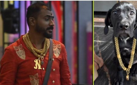 ಮನೆಯ ನಾಯಿಗೂ ಬಂಗಾರದ ಸರ: ಬಿಗ್ ಬಾಸ್ ಮನೆಯ ಗೋಲ್ಡ್ ಸುರೇಶ್ ಹಿನ್ನೆಲೆ ಕೇಳಿದ್ರೆ ಶಾಕ್ ಆಗ್ತೀರಾ!?