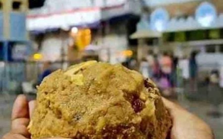 ತಿರುಪತಿ ಲಡ್ಡು ಇತಿಹಾಸ ಮತ್ತು ಉತ್ಪಾದನೆ: ಭಕ್ತಾದಿಗಳು ಓದಲೇಬೇಕಾದ ಸ್ಟೋರಿ!