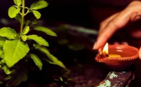 ಜೀವನದಲ್ಲಿ ಸುಖ-ಸಮೃದ್ಧಿ, ಶಾಂತಿಗಾಗಿ ನಿತ್ಯ ತುಳಸಿಯನ್ನು ಈ ರೀತಿ ಪೂಜೆಸಿ