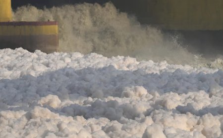 ದೆಹಲಿಯಲ್ಲಿ ಈಗ ಜಲಮಾಲಿನ್ಯ: ಜೀವನದಿಗಳಲ್ಲಿ ಬರುತ್ತಿದೆ ವಿಷಕಾರಿ ನೊರೆ!