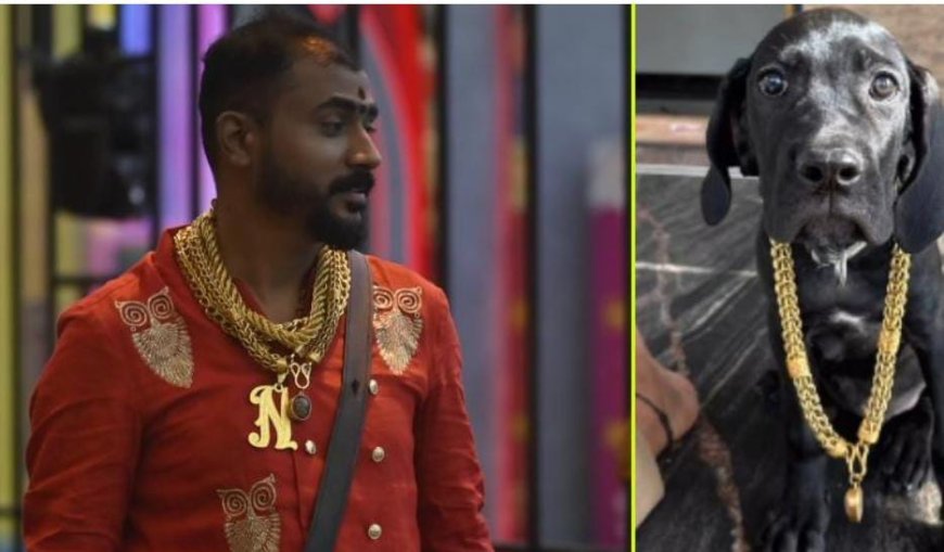 ಮನೆಯ ನಾಯಿಗೂ ಬಂಗಾರದ ಸರ: ಬಿಗ್ ಬಾಸ್ ಮನೆಯ ಗೋಲ್ಡ್ ಸುರೇಶ್ ಹಿನ್ನೆಲೆ ಕೇಳಿದ್ರೆ ಶಾಕ್ ಆಗ್ತೀರಾ!?