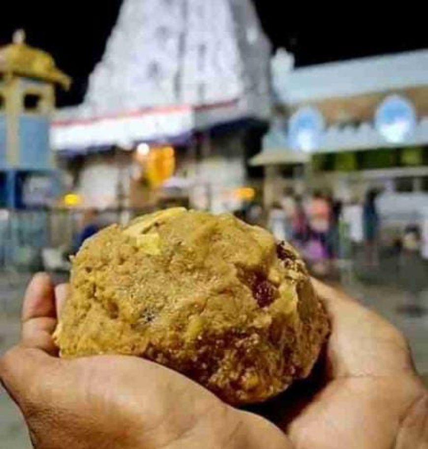 ತಿರುಪತಿ ಲಡ್ಡು ಇತಿಹಾಸ ಮತ್ತು ಉತ್ಪಾದನೆ: ಭಕ್ತಾದಿಗಳು ಓದಲೇಬೇಕಾದ ಸ್ಟೋರಿ!