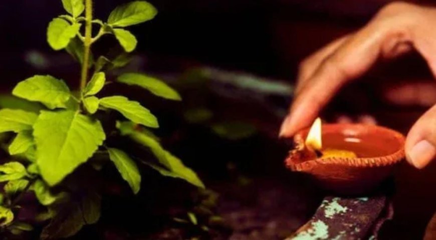ಜೀವನದಲ್ಲಿ ಸುಖ-ಸಮೃದ್ಧಿ, ಶಾಂತಿಗಾಗಿ ನಿತ್ಯ ತುಳಸಿಯನ್ನು ಈ ರೀತಿ ಪೂಜೆಸಿ