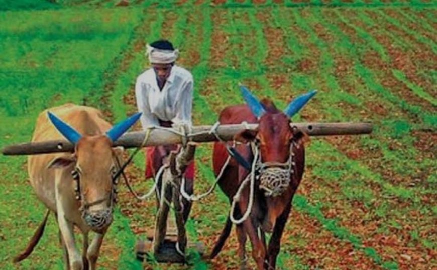ಭಾರತದ ಗ್ರಾಮೀಣ ಭಾಗದ ಜನರ ಆದಾಯ ಗಣನೀಯ ಏರಿಕೆ: ಸಮೀಕ್ಷೆಯಿಂದ ಬಹಿರಂಗ!