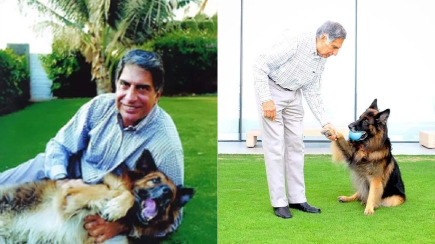 Ratan Tata: ರತನ್‌ ಟಾಟಾ 10,000 ಕೋಟಿ ಆಸ್ತಿಯಲ್ಲಿ ನಾಯಿಗೂ ಪಾಲು! ಯಾರಿಗೆ ಎಷ್ಟು..?