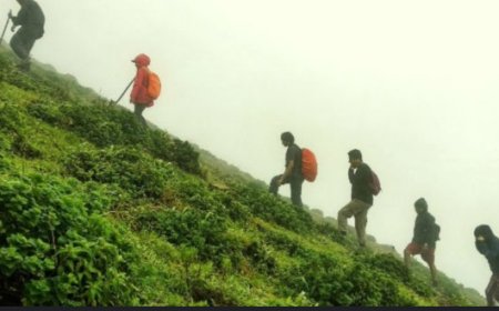 Chikkamagaluru Travel: ಮುಳ್ಳಯ್ಯನಗಿರಿಗೆ ಪ್ರವಾಸಿಗರಿಗೆ ನಿರ್ಬಂಧ! ಯಾಕೆ ಗೊತ್ತಾ..?