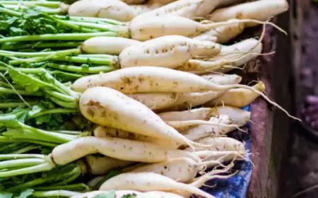 Health Tips: ಅಪ್ಪಿತಪ್ಪಿಯೂ ಮೂಲಂಗಿ ಜೊತೆ ಈ ಪದಾರ್ಥಗಳನ್ನು ತಿನ್ನಲೇಬೇಡಿ!