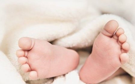 ನವಜಾತ ಶಿಶುವನ್ನು ಶೌಚಾಲಯದ ಗುಂಡಿಗೆ ಹಾಕಿ ಫ್ಲಶ್ ಮಾಡಿದ ಕಿರಾತಕರು.!