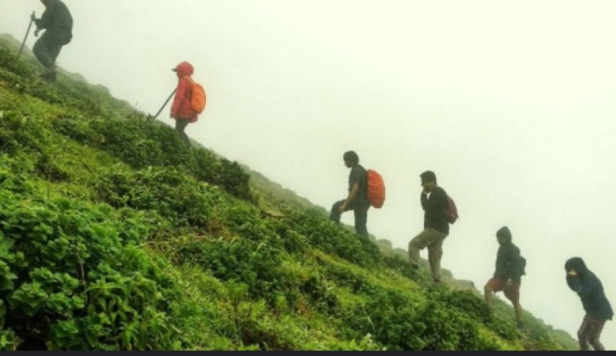 Chikkamagaluru Travel: ಮುಳ್ಳಯ್ಯನಗಿರಿಗೆ ಪ್ರವಾಸಿಗರಿಗೆ ನಿರ್ಬಂಧ! ಯಾಕೆ ಗೊತ್ತಾ..?
