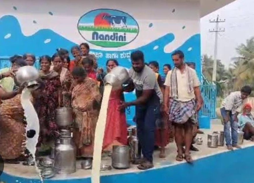 ನೂರಾರು ಲೀಟರ್ ಹಾಲು ಮಣ್ಣುಪಾಲು: ಅಯ್ಯೋ ಮಂಡ್ಯ ಮಹಿಳೆಯರಿಗೆ ಇದೇನಾಯ್ತು!