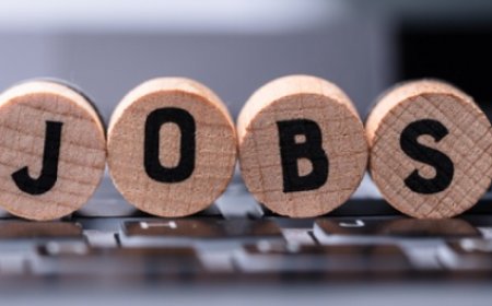 Job Search: ತಿಂಗಳಿಗೆ 34,100 ರಿಂದ 67,600 ರೂ. ಸಂಬಳ.! ಈ ಸರ್ಕಾರಿ ಹುದ್ದೆಗಳಿಗೆ ಬೇಗ ಅರ್ಜಿ ಹಾಕಿ