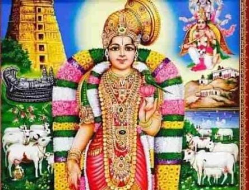 ಧನುರ್ಮಾಸ ಎಲ್ಲಕ್ಕಿಂತ ಶ್ರೇಷ್ಠ ಮಾಸ ಅಂತಾರೆ ಯಾಕೆ? ಇದರ ಪೂಜೆ, ವ್ರತದ ವಿಧಾನ ಹೇಗೆ? ಇಲ್ಲಿದೆ ಮಾಹಿತಿ?