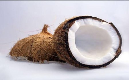 ದೇವರಿಗೆ ತೆಂಗಿನಕಾಯಿ ಅರ್ಪಿಸುವುದೇಕೆ ಗೊತ್ತಾ? ಭಕ್ತರು ನೀವು ತಿಳಿಯಲೇಬೇಕು!