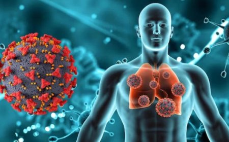 Chinaದಲ್ಲಿ ಮತ್ತೆ ವೈರಸ್ ಆರ್ಭಟ..! HMPV ಸೋಂಕಿನ ಲಕ್ಷಣಗಳೇನು..? ಇಲ್ಲಿದೆ ಮಾಹಿತಿ