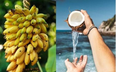 ದೇವರಿಗೆ ತೆಂಗಿನಕಾಯಿ ಹಾಗೂ ಬಾಳೆಹಣ್ಣನ್ನು ಮಾತ್ರ ದೇವಸ್ಥಾನಕ್ಕೆ ಅರ್ಪಿಸೋದು ಯಾಕೆ ಗೊತ್ತಾ!?