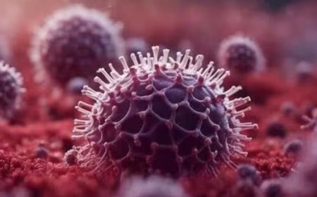 ಸಿಲಿಕಾನ್‌ ಸಿಟಿ ಬೆಂಗಳೂರಿಗೂ ಕಾಲಿಟ್ಟ HMPV ವೈರಸ್..! 8 ತಿಂಗಳ ಮಗುವಿನಲ್ಲಿ ಸೋಂಕು ಪತ್ತೆ