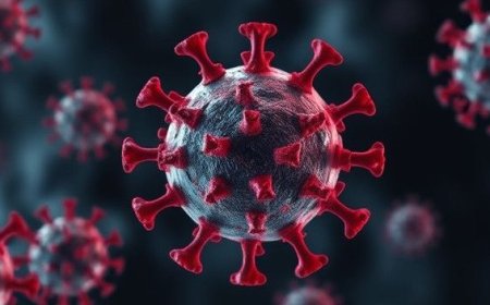 HMPV Virus: ಟೆನ್ಶನ್ ಹೆಚ್ಚಿಸಿದ HMPV: ಒಂದೇ ದಿನದಲ್ಲಿ ಐವರು ಮಕ್ಕಳಲ್ಲಿ ಸೋಂಕು ಮತ್ತೆ..!