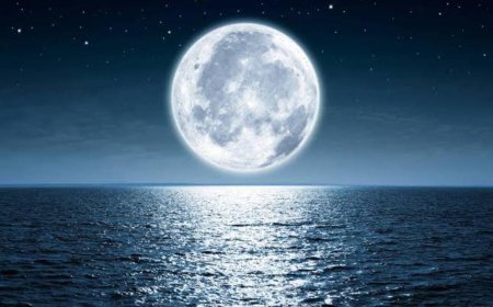 2025ರ ಈ ವರ್ಷದಲ್ಲಿ ಬರುವ ಹುಣ್ಣಿಮೆ, ಅಮಾವಾಸ್ಯೆಗಳ ಪಟ್ಟಿ: ದಿನಾಂಕ, ವಾರಗಳ ಸಂಪೂರ್ಣ ವಿವರ ಇಲ್ಲಿದೆ!