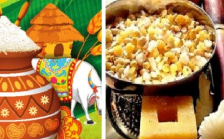 ಸಂಕ್ರಾತಿ ಹಬ್ಬದ ಬಗ್ಗೆ ನಿಮಗೆಷ್ಟು ಗೊತ್ತು? ಇತಿಹಾಸ, ಮಹತ್ವದ ಬಗ್ಗೆ ಇಲ್ಲಿದೆ ನೋಡಿ ಮಾಹಿತಿ