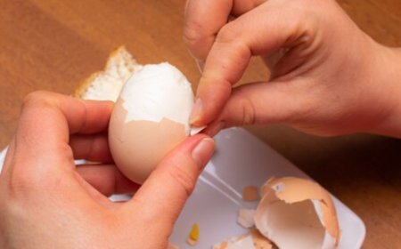 ಮೊಟ್ಟೆಯ ಸಿಪ್ಪೆಯನ್ನು ಎಸೆಯಬೇಡಿ..! ಇದ್ರಿಂದ ಚರ್ಮಕ್ಕೆ ತುಂಬಾನೇ ಲಾಭಗಳಿವೆ!