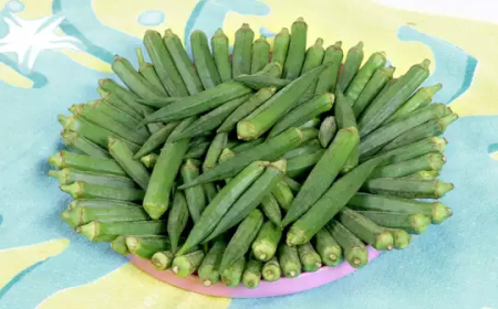 Okra: ಬೆಂಡೆಕಾಯಿಯಲ್ಲಿದೆ ಔಷಧಿಗಳ ಖಜಾನೆ! ಅಡುಗೆಗೆ ಬಳಸಿದ್ರೆ ಆರೋಗ್ಯಕ್ಕೂ ಒಳ್ಳೆಯದು