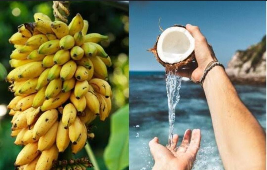 ದೇವರಿಗೆ ತೆಂಗಿನಕಾಯಿ ಹಾಗೂ ಬಾಳೆಹಣ್ಣನ್ನು ಮಾತ್ರ ದೇವಸ್ಥಾನಕ್ಕೆ ಅರ್ಪಿಸೋದು ಯಾಕೆ ಗೊತ್ತಾ!?