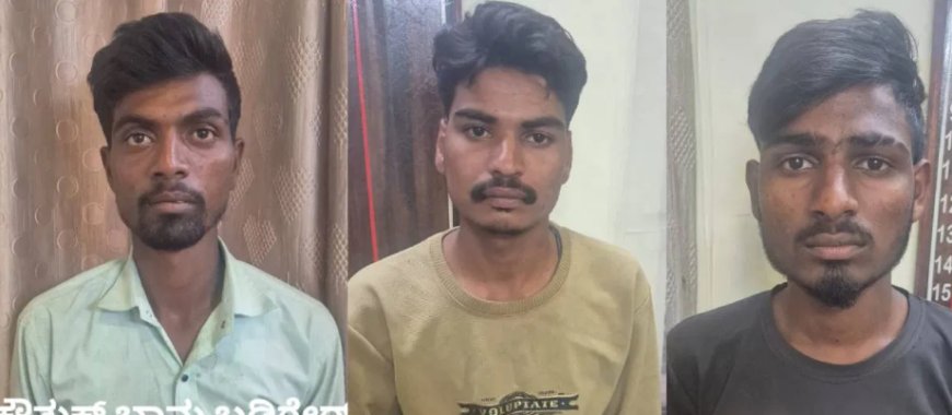 ಮತ್ತೆ ಕಾಮಾಂಧರ ಅಟ್ಟಹಾಸ: ಇನ್ಸ್ಟಾಗ್ರಾಮ್ ಗೆಳೆಯರ ನಂಬಿ ಹೋದ ಯುವತಿಯರ ಮೇಲೆ ಗ್ಯಾಂಗ್ ರೇಪ್!