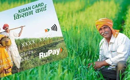 Union Budget: ಅನ್ನದಾತರಿಗೆ ಸಿಕ್ತು ಭರ್ಜರಿ ಗುಡ್‌ ನ್ಯೂಸ್:‌ ಕಿಸಾನ್‌ ಕ್ರೆಡಿಟ್‌ ಕಾರ್ಡ್‌ ಸಾಲದ ಮಿತಿ 5 ಲಕ್ಷ ರೂ.ಗೆ ಏರಿಕೆ!