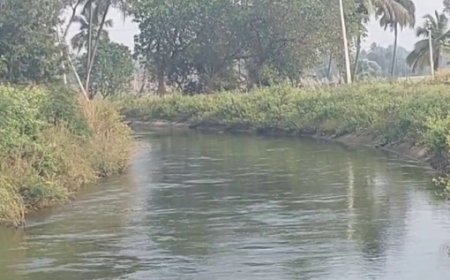 ಸಕ್ಕರೆನಾಡಲ್ಲಿ ಮತ್ತೊಂದು ನಾಲೆ ದುರಂತ: ವಿ.ಸಿ ನಾಲೆಗೆ ಕಾರು ಉರುಳಿಬಿದ್ದು ಮೂವರು ಸಾವು.!