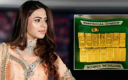 Gold Smuggling Case: ಚಿನ್ನ ಮಾರಾಟಕ್ಕೆಂದು ದುಬೈನಲ್ಲಿ ಕಂಪನಿ ತೆರೆದಿದ್ದ ನಟಿ ರನ್ಯಾ ರಾವ್..!