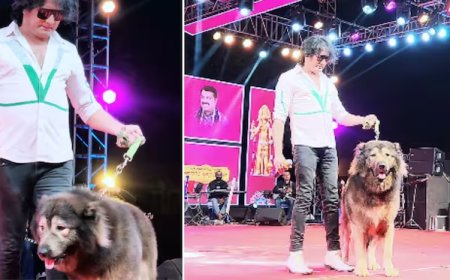 ಅಬ್ಬಬ್ಬಾ.. 49 ಕೋಟಿ ಕೊಟ್ಟು ಜಗತ್ತಿನ ದುಬಾರಿ ನಾಯಿ ಖರೀದಿಸಿದ ಶ್ವಾನಪ್ರೇಮಿ..!