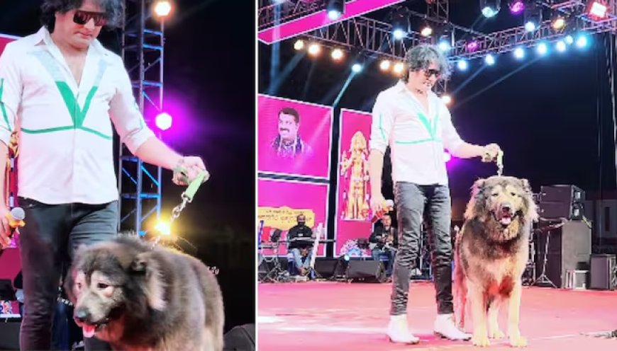 ಅಬ್ಬಬ್ಬಾ.. 49 ಕೋಟಿ ಕೊಟ್ಟು ಜಗತ್ತಿನ ದುಬಾರಿ ನಾಯಿ ಖರೀದಿಸಿದ ಶ್ವಾನಪ್ರೇಮಿ..!