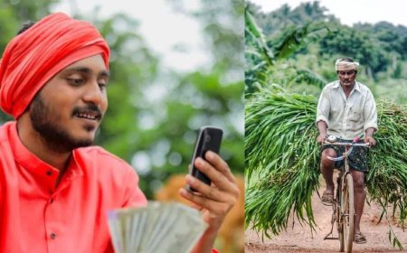 PM Kisan: ಪಿಎಂ ಕಿಸಾನ್‌ ಸಮ್ಮಾನ್‌ ನಿಧಿ 20ನೇ ಕಂತು ಬಿಡುಗಡೆ ಯಾವಾಗ? ಇಲ್ಲಿದೆ ಫುಲ್‌ ಡಿಟೇಲ್ಸ್‌