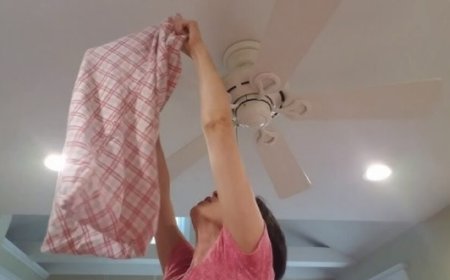 ನಿಮ್ಮ ಮನೆಯ ಸೀಲಿಂಗ್ ಫ್ಯಾನ್ ಧೂಳುಗಟ್ಟಿಕೊಂಡಿದ್ಯಾ? ರಿಸ್ಕ್​ ಬೇಡ, ಈ ಸಿಂಪಲ್ ಟಿಪ್ಸ್​ ಫಾಲೋ ಮಾಡಿ!