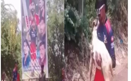 ಚೆನ್ನೈ ಮೇಲೆ ಗೆದ್ದ ಬೆನ್ನಲ್ಲೇ ಅಂಧಾಬಿಮಾನ ತೋರಿದ ಬೆಂಗಳೂರು ಅಭಿಮಾನಿ!