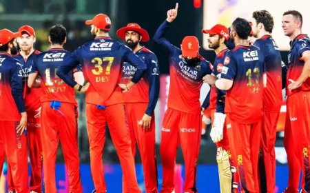 IPL 2025: RCB ಪ್ಲೇಆಫ್​ ಪ್ರವೇಶಿಸಲು ಮುಂದಿನ ಪಂದ್ಯಗಳು ನಿರ್ಣಾಯಕ.. ಗೆಲ್ಲಲೇಬೇಕಾದ ಸ್ಥಿತಿ!