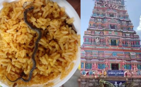 Chandra Choodeswarar Temple: ದೇವಸ್ಥಾನದ ಪ್ರಸಾದದಲ್ಲಿ ಸತ್ತ ಹಾವು ಪತ್ತೆ..! ಗಾಬರಿಯಾದ ಭಕ್ತರು – ಮುಂದೇನಾಯ್ತು..?