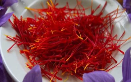 Pahalgam Attack: ಗಗನಕ್ಕೇರಿದ ಕಾಶ್ಮೀರಿ ಕೇಸರಿ ಬೆಲೆ: ಕೆಜಿಗೆ ₹5 ಲಕ್ಷ ರೂ…!