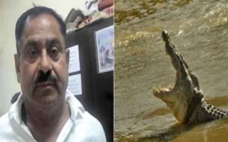 Serial Killer: ಜನರನ್ನು ಕೊಂದು, ಶವಗಳನ್ನು ಮೊಸಳೆಗಳಿಗೆ ಹಾಕುತ್ತಿದ್ದ ಸೀರಿಯಲ್ ಕಿಲ್ಲರ್ ಅರೆಸ್ಟ್..!‌