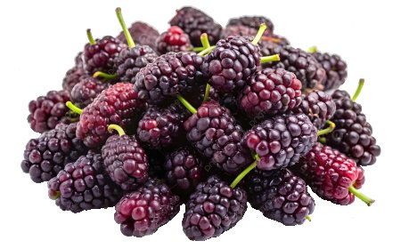 ಸಿಪ್ಪೆಯು ಇಲ್ಲ, ಬೀಜವು ಇಲ್ಲ ಈ ಹಣ್ಣು ತಿಂತಿದ್ರೆ ರುಚಿಯೋ ರುಚಿ; ಜೊತೆಗೆ ಆರೋಗ್ಯಕ್ಕೂ ಒಳ್ಳೆಯದು!