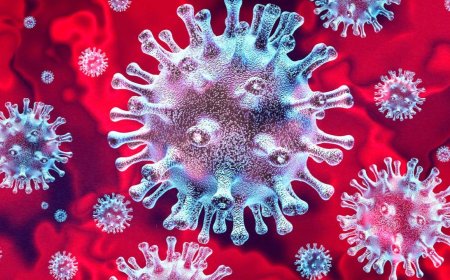 ರಾಜ್ಯದಲ್ಲಿ ಹೆಚ್ಚಿದ ಕೊರೋನಾ ಆತಂಕ: ಓರ್ವ ಬಲಿ, ಬೆಂಗಳೂರಿನಲ್ಲಿ ಮತ್ತಿಬ್ಬರಿಗೆ ಸೋಂಕು ದೃಢ