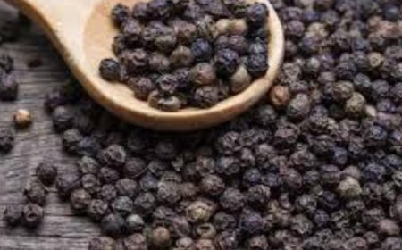 ಅಡುಗೆ ಮನೆಯಲ್ಲಿ ಸಿಗುವ ಕಾಳು ಮೆಣಸು ನಿಮ್ಮ ಆರೋಗ್ಯಕ್ಕೆ ಎಷ್ಟು ಪ್ರಯೋಜನಕಾರಿಯಾಗಿ ಗೊತ್ತಾ!?