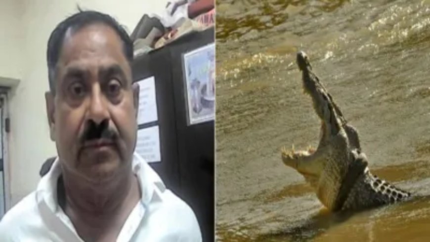 Serial Killer: ಜನರನ್ನು ಕೊಂದು, ಶವಗಳನ್ನು ಮೊಸಳೆಗಳಿಗೆ ಹಾಕುತ್ತಿದ್ದ ಸೀರಿಯಲ್ ಕಿಲ್ಲರ್ ಅರೆಸ್ಟ್..!